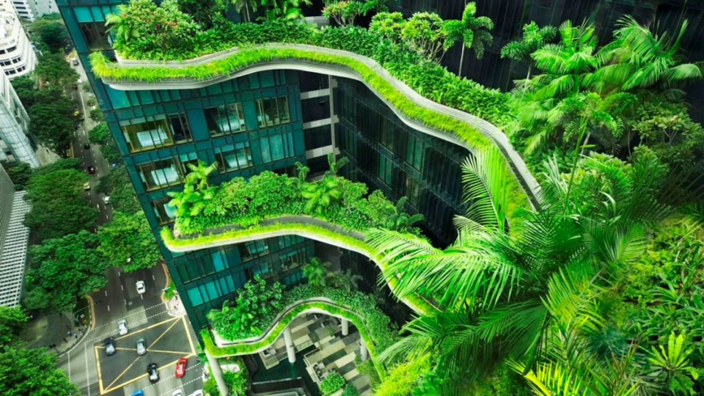 Image Source: Rethinking the Future